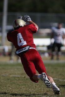 米兰体育(中国大陆)官网-五大联赛体能瓶颈期球队是否更偏好长传进攻，体育瓶颈期是啥意思