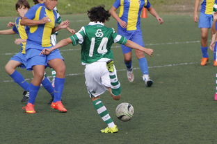 ac米兰球队官网-体育新闻中心发布体育内容原创度评估智能工具，原创体育sports